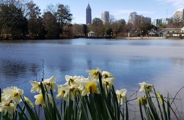piedmont park