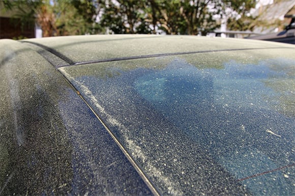 pollen on car, car paint, vehicle exterior, pollen