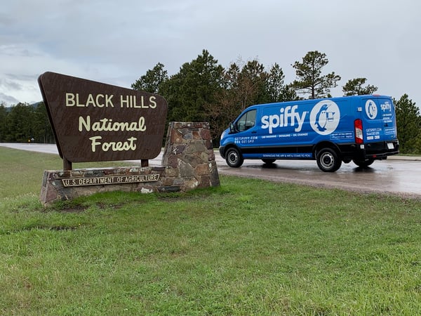 Spiffy at Black Hills National Forest