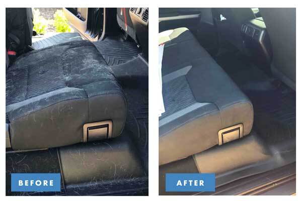 Best way to clean dog hair from car sale