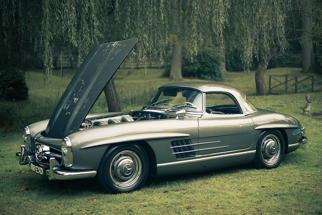 Clean Mercedes-Benz car parked in the grass with hood open Clean Mercedes-Benz car parked in the grass with hood open