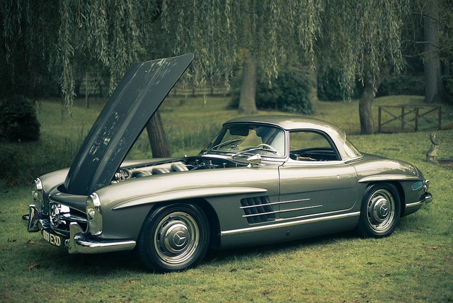 Clean Mercedes-Benz car parked in the grass with hood open