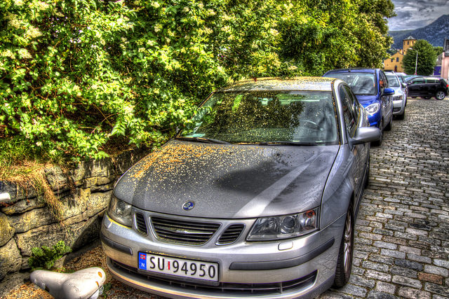 Car covered in pollen and sap parked under trees Car covered in pollen and sap parked under trees
