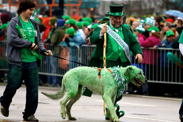 St Patrick's Day Parade St Patrick's Day Parade