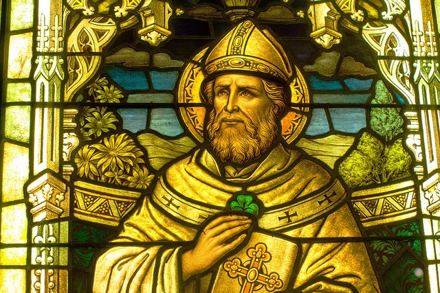The beloved saint of St Patrick The beloved saint of St Patrick