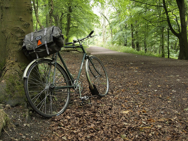 One of 100 greenway trails in the Raleigh-Durham area One of 100 greenway trails in the Raleigh-Durham area