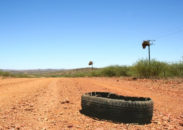 landscape-grass-bird-road-car-field-536122-pxhere.com