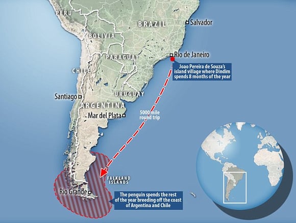 migration map for spiffy the penguin