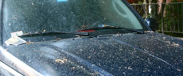 Common Causes of Damage to Your Car's Paint Job