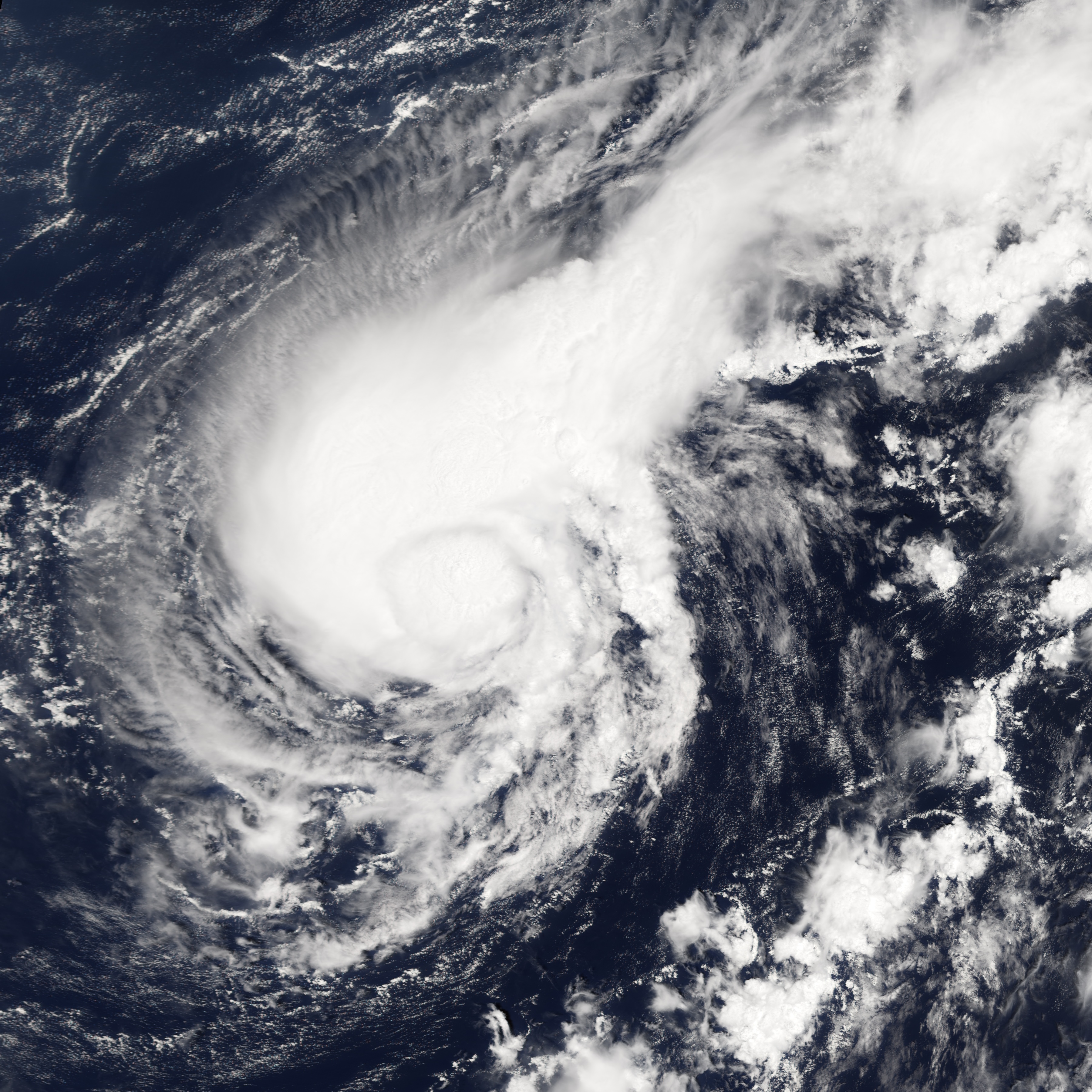 hurricane harvey